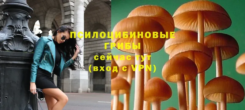 Псилоцибиновые грибы Magic Shrooms  Ермолино 